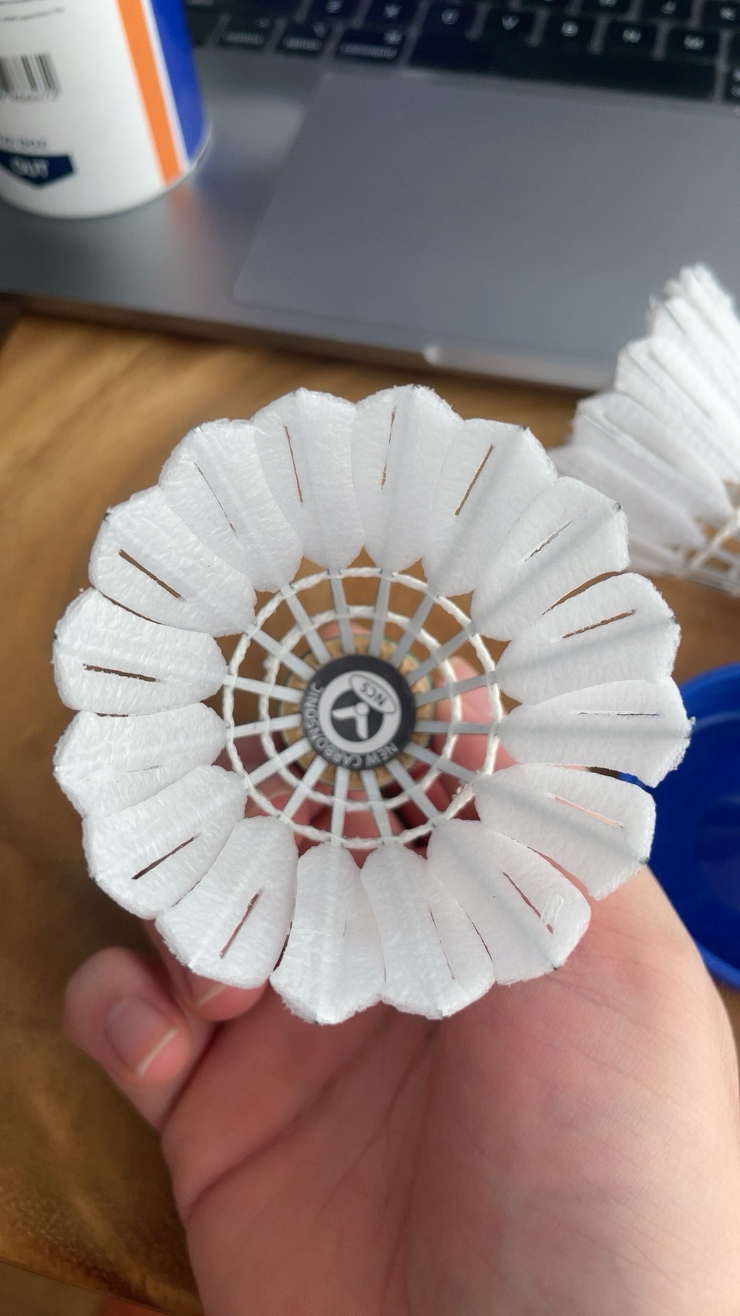 网球盛事落 网球盛事落