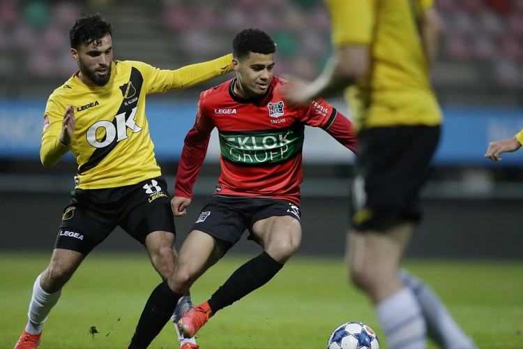 定性方面仍 定性方面仍